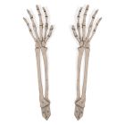 Plastic Skeleton Hand Yard Stakes