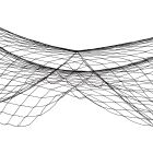 Fish Netting