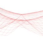 Fish Netting