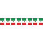 Mexican Flag Pennant Banner