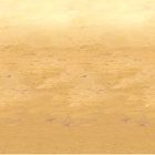Desert Sand Backdrop