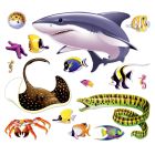 Marine Life Props