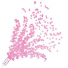 Gender Reveal Push Up Confetti Poppers