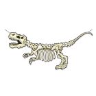 T-Rex Skeleton Streamer