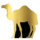 Camel Stand-Up