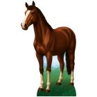 Horse Stand-Up