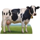 Cow Stand-Up