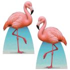 Flamingo Stand-Ups