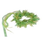 Fairy Crown