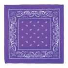 Purple Bandana