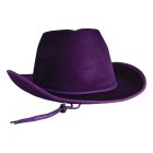 Velour Cowboy Hat