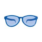 Jumbo Glasses