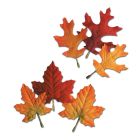Autumn Leaves