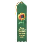 All The Flowers Of Tomorrow Ribbon