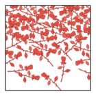 Roses Confetti