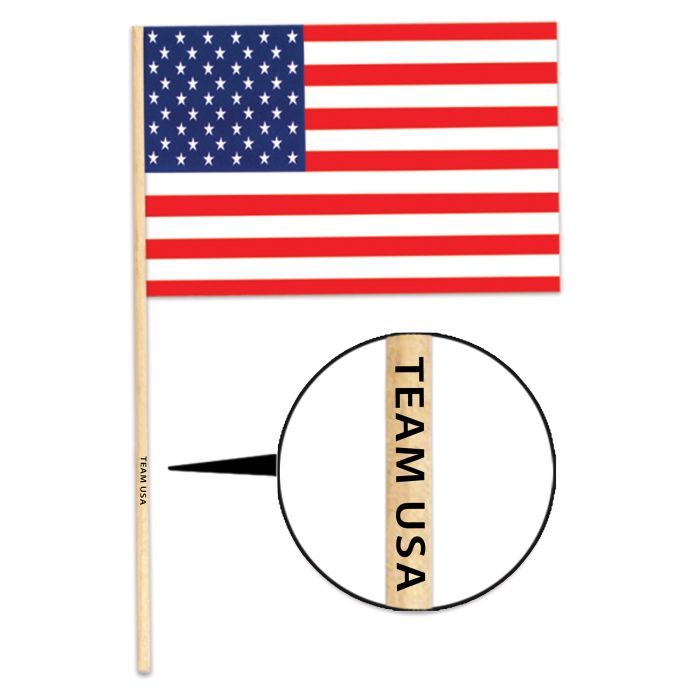 Plastic American Flag, 4"h x 6"w