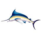 Marlin Prop