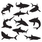 Shark Silhouettes