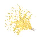 Push Up Confetti Poppers