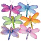 Dragonflies