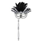 Costume Mask w/Stick