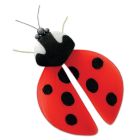 Ladybug