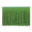 6-Ply Tissue Fringe Drape