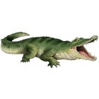 Jointed Crocodile