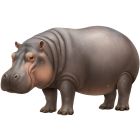 Jointed Hippopotamus