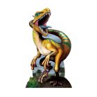 Raptor Stand-Up