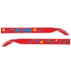 40 Satin Sash