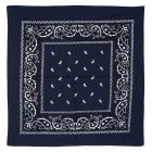 Blue Bandana