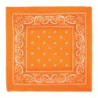 Orange Bandana