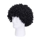 Curly Wig