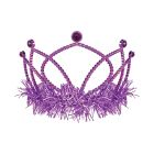 Plastic Tiara