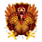 Crazy Turkey Car Cling