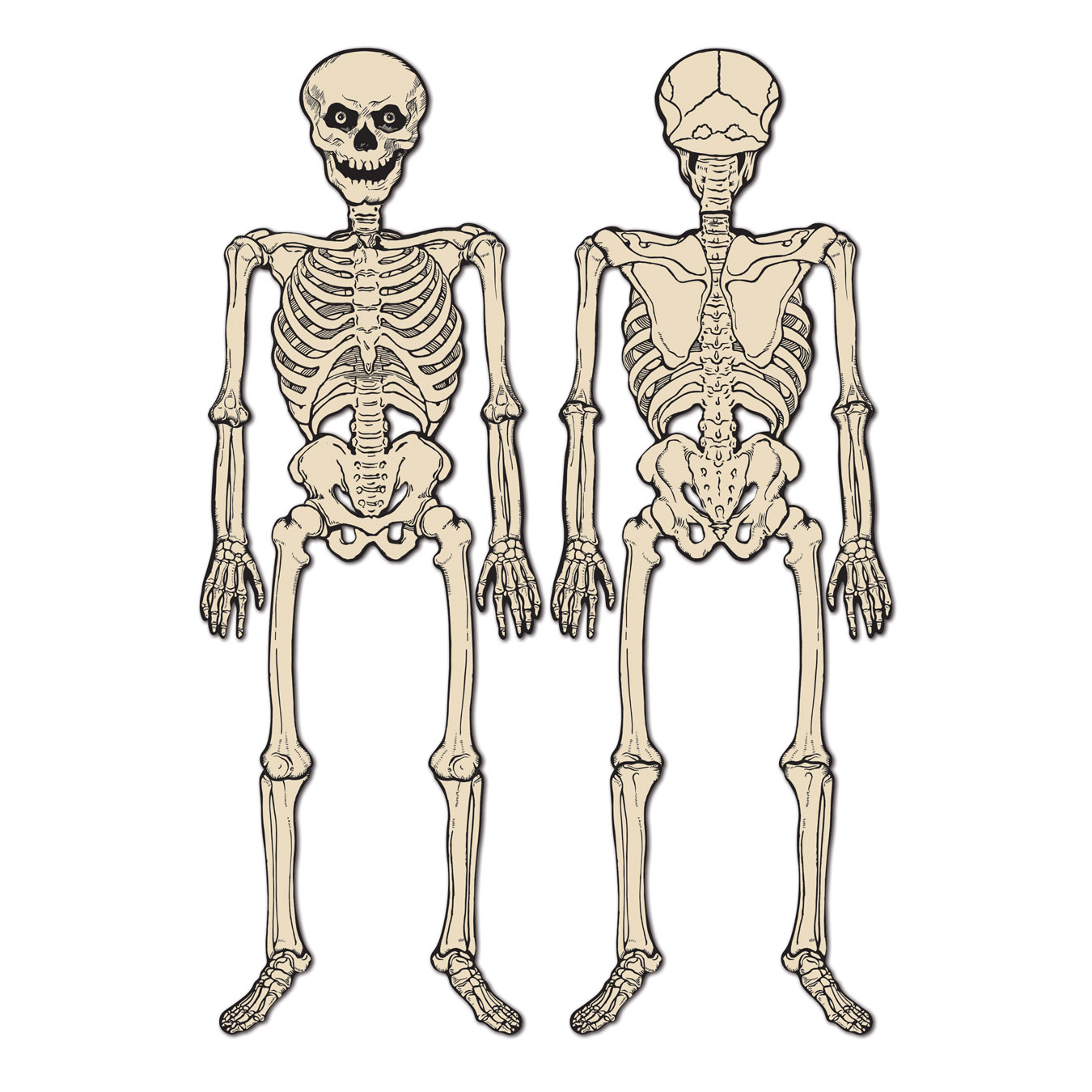 VINTAGE Halloween Jointed Skeleton