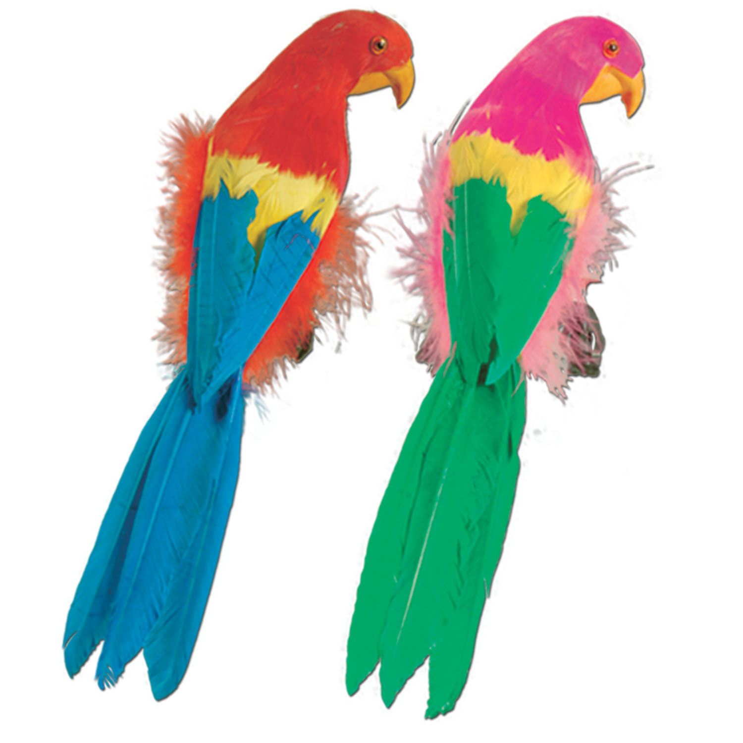 Tropical Parrots