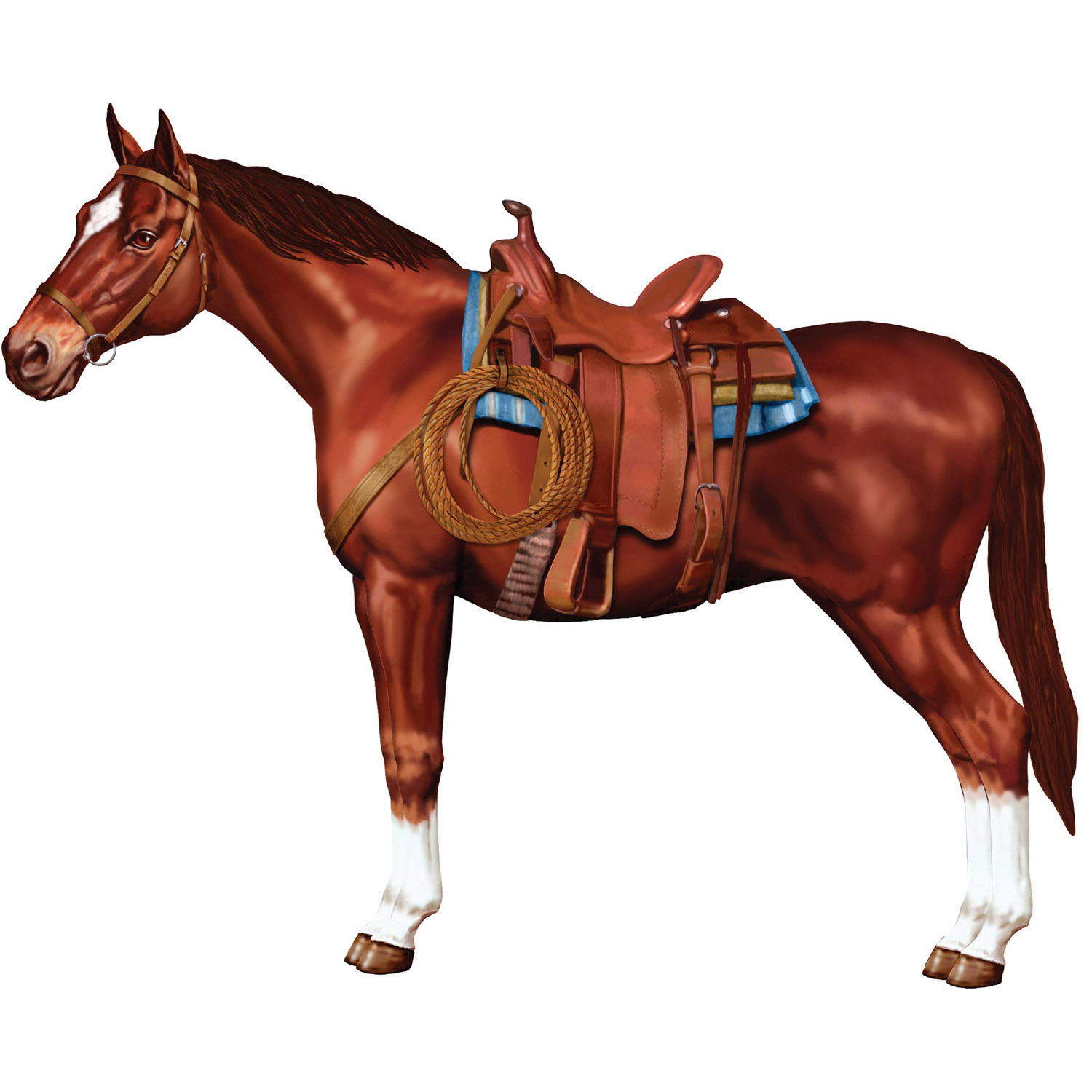 Jointed HORSE
