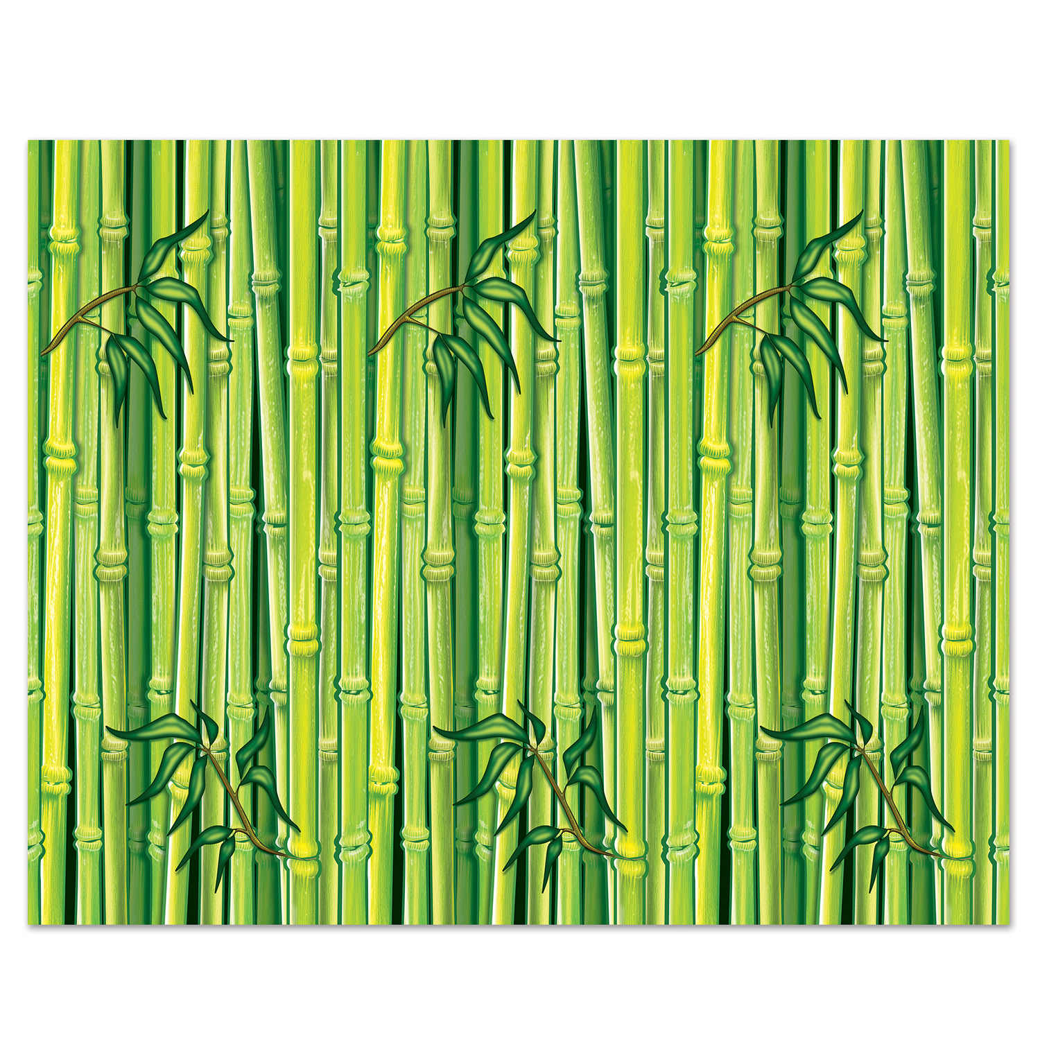BAMBOO Backdrop